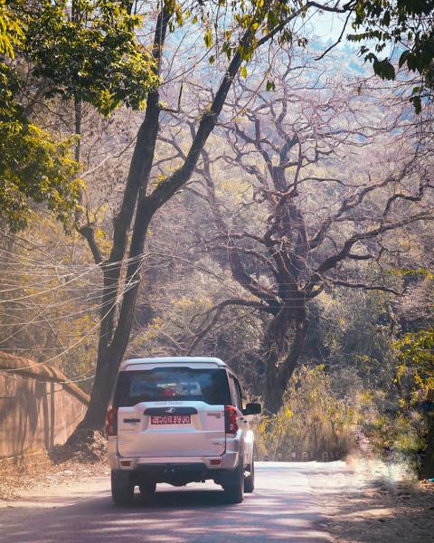 An image of a car moving on a  road with a beautiful scenario of nature-banrupi
