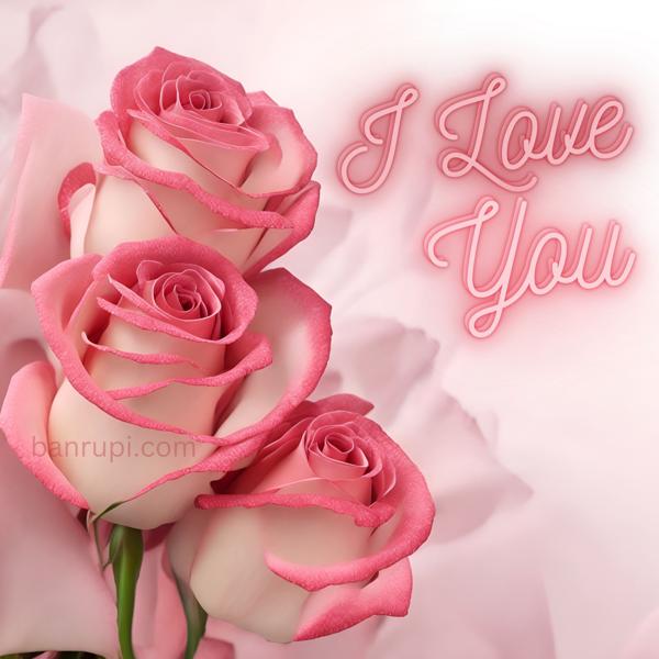 Dwonload: A romantic Image of white and pink roses with the text 'I Love You' .-banrupi
