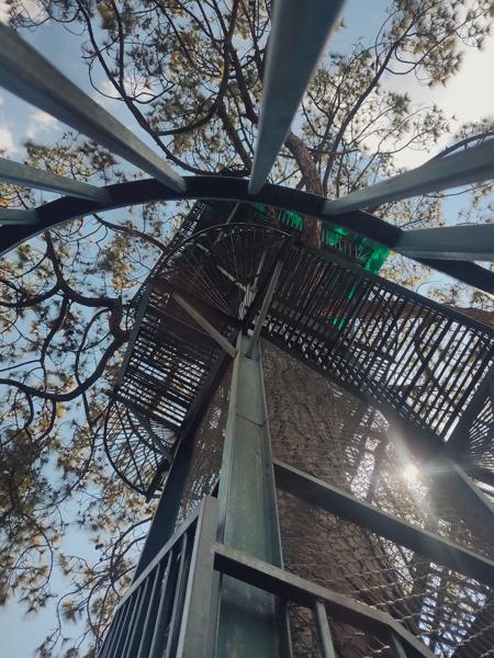 Download Image: The tree house is located in Tamghas-Gulmi Nepal-banrupi
